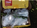 paket miska