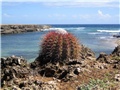 Mel-curacao