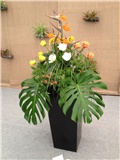 floraart_2013_14