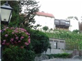 Tkalčićeva