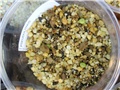 Pseudolithos migiurtinus