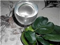 sirup dunja