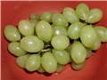grožđe