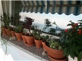moj balkon