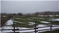 lukovica.