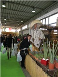Pordenone 5_03_2011