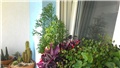 moj balkon