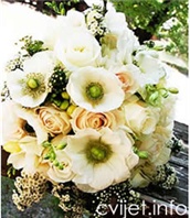 Cvijeće za vjenčanje - Anemona