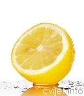 Limun - Citrus medica