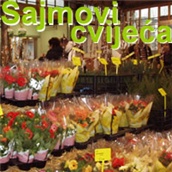 Sajmovi cvijeća 2008 - Hrvatska