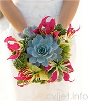 Cvijeće za vjenčanje - Sukulenti