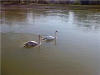 00a82392-MOV00293.jpg