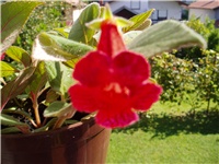 00dcd9c2-P1010176.JPG