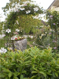 0131af89-P5100071.JPG