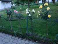 01622a4a-DSC07997.JPG
