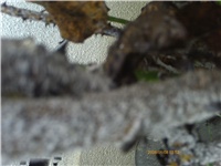 029b6208-PTDC0004.JPG