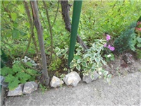 02d298ab-DSCN0722.JPG