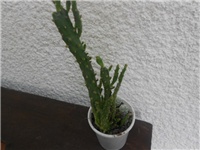 03100d20-DSCN0910.JPG