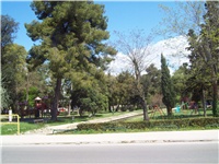 0362c561-101_1438.jpg