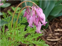 03ad63d9-P1010229.JPG