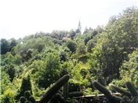 06478435-025.jpg