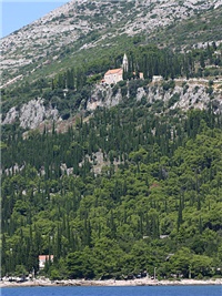 064f6fb8-čempresi.jpg