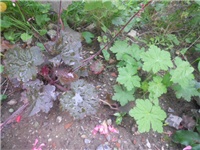 066e2fc9-DSCN0840.JPG