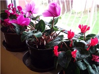 091897b1-DSCF3169.JPG