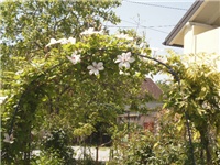 0abc4745-P5030600.JPG