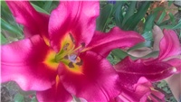 0ad637d7-WP_20171001_14_46_41_Pro.jpg
