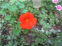 0afe0b75-IMG_4053.jpg