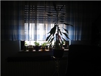 0c5a27c3-DSC03344.JPG