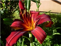 0c94a55c-P1000231.JPG