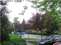 0cdc62a5-IMG_3181.jpg