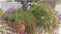 0cfc9fab-20180725_143547.jpg