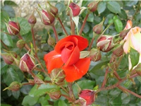 0d0beab0-PA020147.JPG