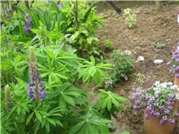 0d6db975-IMG_3759.jpg