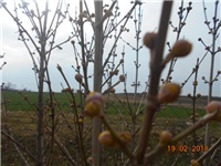0e0a1e12-DSCN2730.JPG