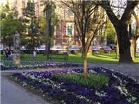 0e70076a-sakuntala.jpg