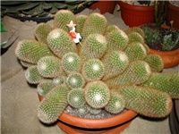 0edbcfdd-IMG_2702.jpg