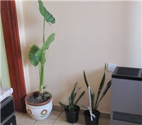0f490789-sshot-2013-01-27-18-01-35.jpg