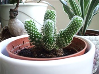 0f4eaeba-DSCF0893.JPG