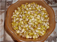 0fa7a45b-DSCI0055.JPG