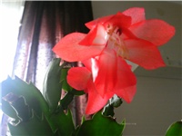 0ff2b1d9-PTDC0178.JPG