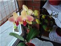 10249b30-DSC06901.JPG