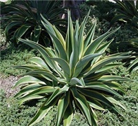 108cf254-9.jpg