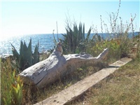 10f766ee-Agavice.jpg