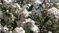110acdaa-20190418_104301.jpg