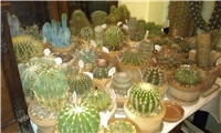 11b63d52-IMAG0295.jpg