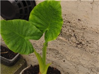 1237f751-sshot-2012-08-01-17-27-45.jpg